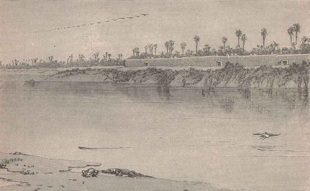 The Babusso or Eastern Chari at Miskin, South-East of Logone. Chad Basin 1885